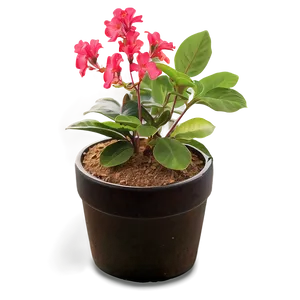 Potted Plant Soil Mixes PNG Pip2 PNG