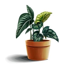 Potted Plants A PNG image