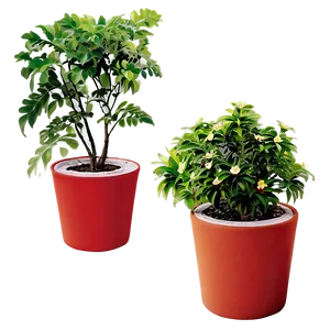 Potted Plants Png 50 PNG image