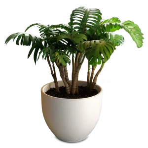 Potted Plants PNG Mlk25