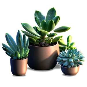 Potted Succulent Png Dlh PNG image