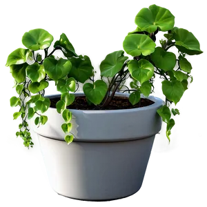 Potted Vine Plants PNG Ylg