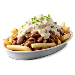 Poutine With Stroganoff Sauce PNG 06252024
