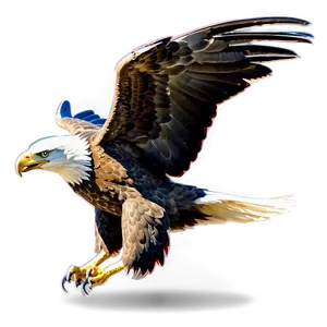 Powerful Eagle Swooping PNG 06122024 PNG