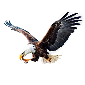 Powerful Eagle Swooping PNG 10 PNG