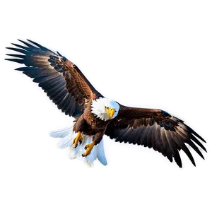 Powerful Eagle Wings Png 06262024 PNG image