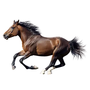 Powerful Mustang Horse Charge Png 31 PNG image