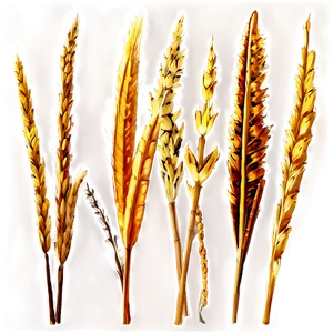 Prairie Grass Landscape Png Imn PNG image