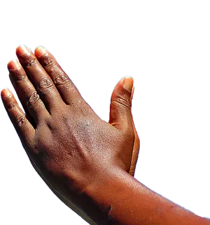 Praying Hands Isolated.png PNG image