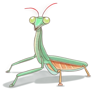 Praying Mantis Illustration PNG 86