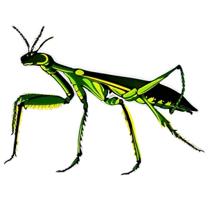 Praying Mantis Silhouette PNG Evp