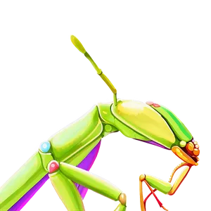 Praying Mantis Wings PNG Arr84 PNG