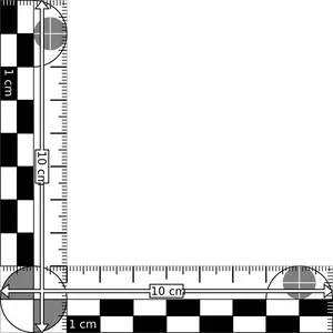 Precision Ruler Measurement Tool PNG