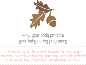 Pregnancy Protection Infographic PNG
