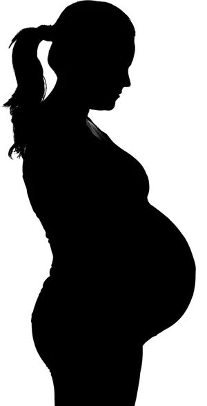 Pregnant Silhouette Profile PNG