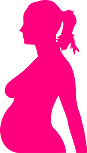 Pregnant Silhouette Profile