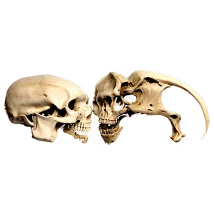 Prehistoric Bones PNG Ycl36