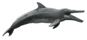 Prehistoric Dolphin Illustration PNG image