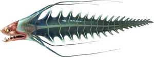 Prehistoric Fish Illustration PNG