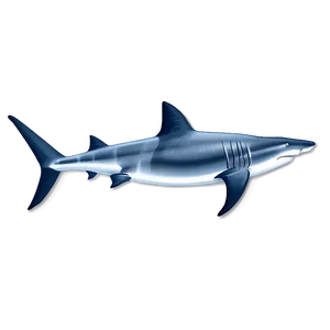Prehistoric Shark PNG 05032024