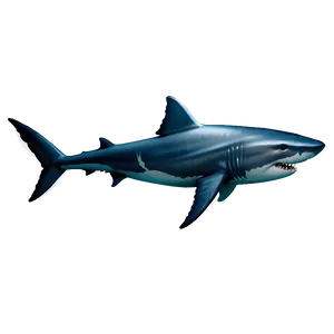 Prehistoric Shark Png 37 PNG image
