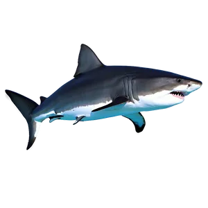 Prehistoric Tiger Shark PNG 85