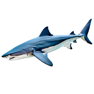 Prehistoric Tiger Shark PNG Yxl