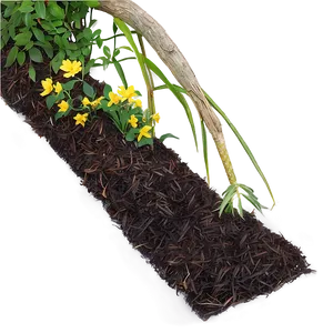 Premium Garden Mulch Png 06132024 PNG image