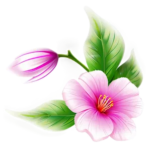 Pretty Flower B PNG
