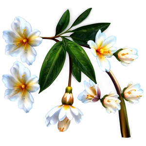 Pretty Flower PNG 06252024 PNG