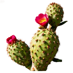 Prickly Pear On Branch Png Snm PNG image