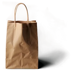 Printed Brown Paper Bag PNG 06282024