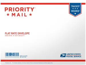 Priority Mail Flat Rate Envelope PNG image