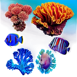 Pristine Coral Reef Png 34 PNG image