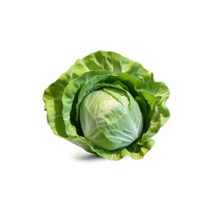 Pristine Lettuce Png 05242024 PNG image