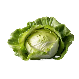 Pristine Lettuce Png 78 PNG image