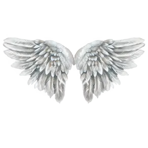 Pristine White Wings PNG Vbh PNG
