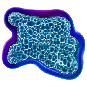Probiotic Bacteria PNG 05242024 PNG