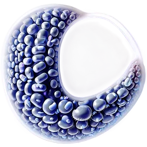 Probiotic Bacteria PNG Wnn55
