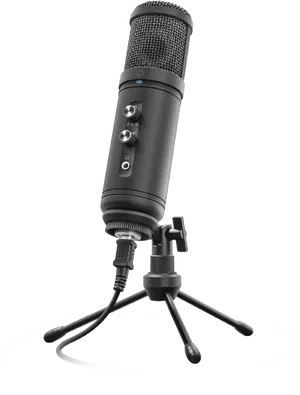 Professional Black Studio Microphone PNG image