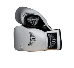 Professional Boxing Gloves Hatton Brand PNG image