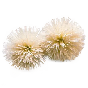 Professional Cheer Pom Poms Png 06282024 PNG image