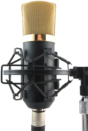Professional Condenser Studio Microphone PNG image