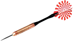 Professional Dart Equipment PNG image