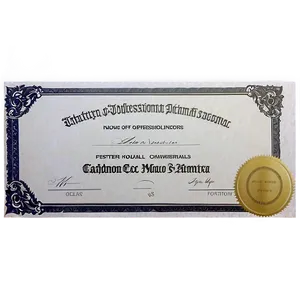 Professional Diploma PNG 05252024 PNG