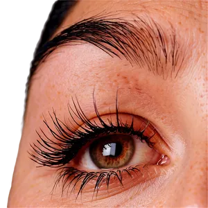 Professional Eyelash Extensions Png 06282024 PNG image