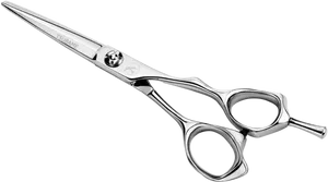 Professional Hairdressing Scissors PNG