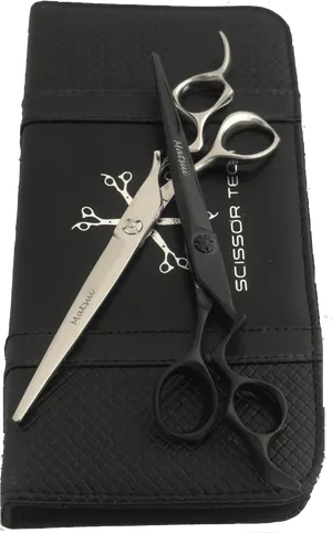 Professional Hairdressing Scissorson Case.jpg PNG