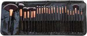 Professional Makeup Brush Set PNG