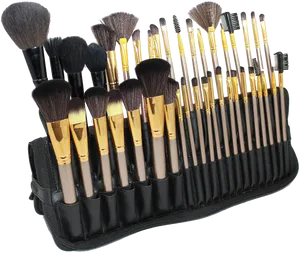Professional Makeup Brush Set